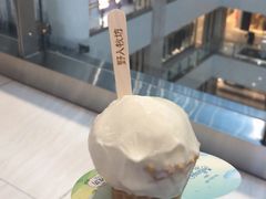 榴莲冰淇淋-野人先生现做冰淇淋(西安赛格店)