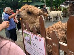 -西安秦岭野生动物园