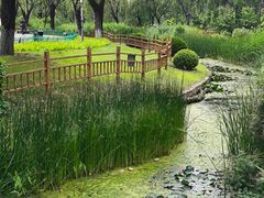 -燕郊植物园