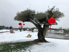 -南通洲际绿博园