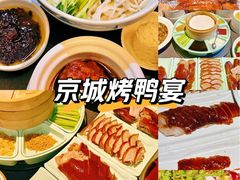 -羲和雅苑•北京烤鸭(平安国际金融中心店)