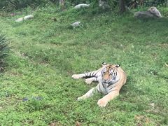 -西安秦岭野生动物园