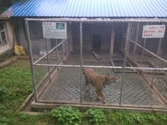 -甘棠公园