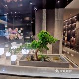 合肥新的“黑金”烤肉店哎～