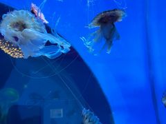-南昌融创海世界