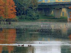 -白鹭湾湿地公园