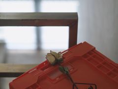 -栖云里(慈溪店)