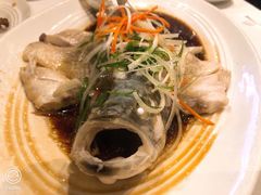 东坡江团鱼-眉州东坡(上海中心店)