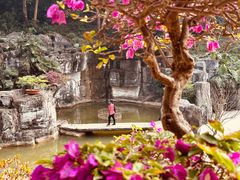 -深圳仙湖植物园