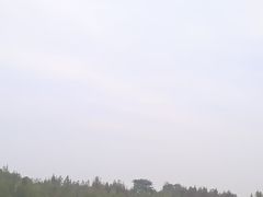 -白鹭湾湿地公园