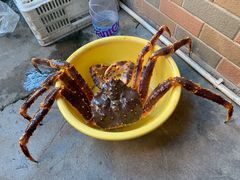-黄沙水产交易市场