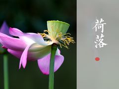 -南京工程学院(江宁校区)