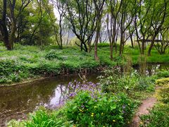 -西湖风景区-江洋畈生态公园