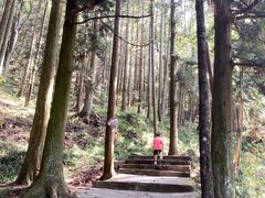 -大围山国家森林公园