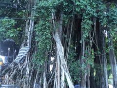 -庐州太太(双岗店)