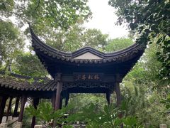 -上海佘山国家森林公园天马山园