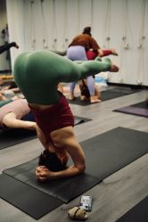 -卡莫瑜伽·普拉提