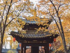 -嵖岈山风景区