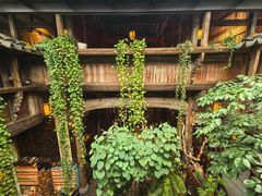 -普洱茶府(博乐广场店)