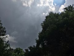 -梧桐栖·养生·spa