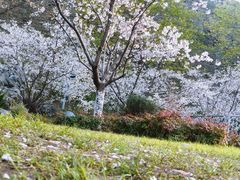 -南京城墙景区