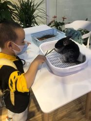 -Moni星球萌宠·小马宝莉·灵蛇·高端高阶全萌宠互动体验俱乐部(红豆国际广场店)