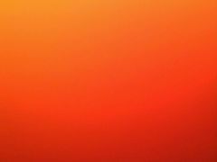 -向阳松鼠(南园店)