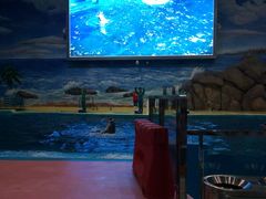 -福州罗源湾海洋世界旅游区