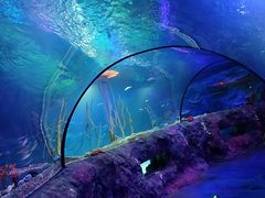 -沈阳海洋探索中心