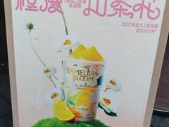 -书亦烧仙草(龙湖金楠天街店)