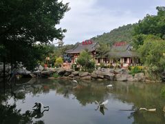 -河源客天下-温泉小镇