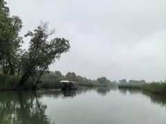 -西溪国家湿地公园