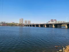 -长白岛森林公园