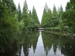 -东平国家森林公园