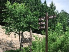 -阳台山自然风景区