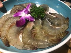 -青瓷火锅料理(西单大悦城店)