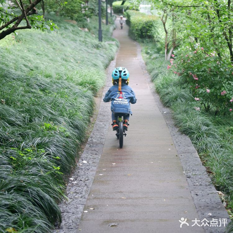 水上巴士7号线，体味老杭州的味道