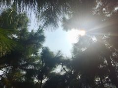 -南京市无想山景区