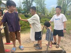 -铁山坪森林公园