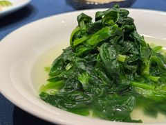 -老吉堂上海本帮菜(工体店)