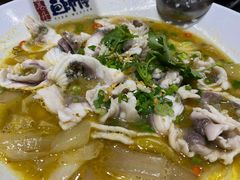 -港升鱼师傅·中山脆肉鲩