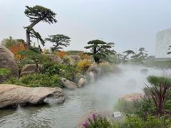 -罗红摄影艺术馆