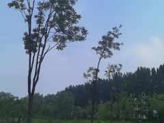 -东郊湿地公园