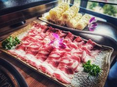 肥羊-新草堂锅物料理(泉城路店)