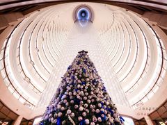 -lululemon(上海浦东IFC店)