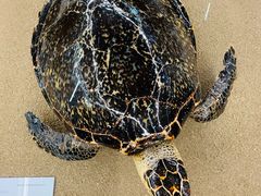 -天津古林古海岸遗迹博物馆