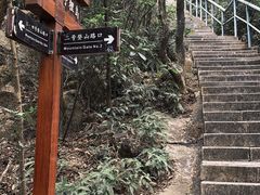 -野狸岛