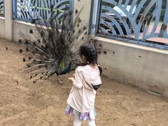 -秦皇岛野生动物园