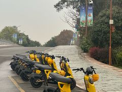 -三垟湿地
