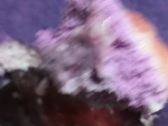 -好利来(四季青店)